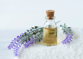 Lavender Oil for Breast Enlargement