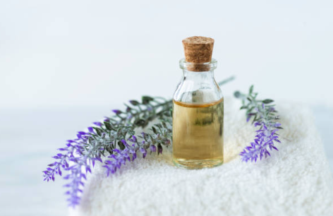 Lavender Oil for Breast Enlargement